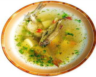 Уха из свежей речной рыбы