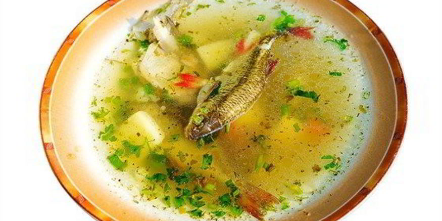 Рецепт ухи из свежей речной рыбы