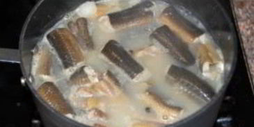 уха из угря