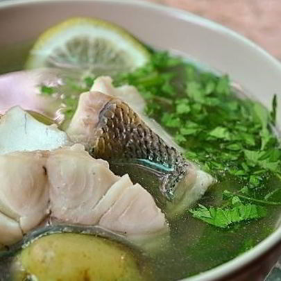 Уха рыбацкая