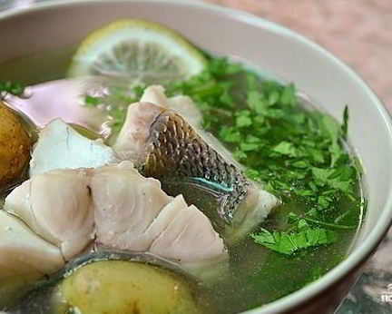 Уха рыбацкая