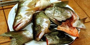 уха с речной рыбы