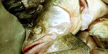 уха с речной рыбы