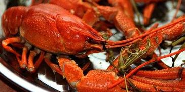 уха с речной рыбы