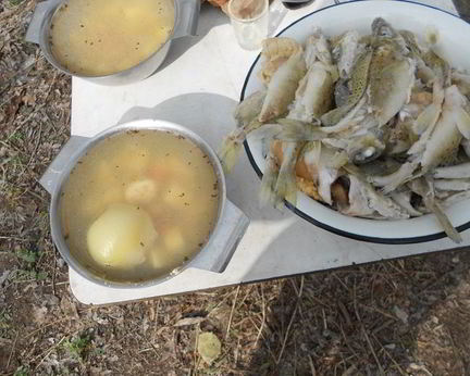 Уха Возле реки