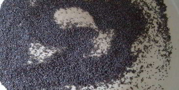 блинчики с маковым мороженым