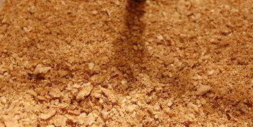 сливочно-грибные блинчики под сливочно-грибным соусом