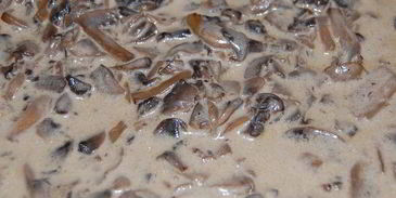 сливочно-грибные блинчики под сливочно-грибным соусом