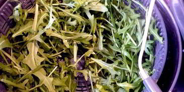 булочки из слоеного теста с песто из руколы и кешью