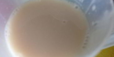 сырные булочки с базиликом на картофельно-дрожжевом тесте