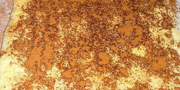 влажные коричные булочки в яблочной карамели