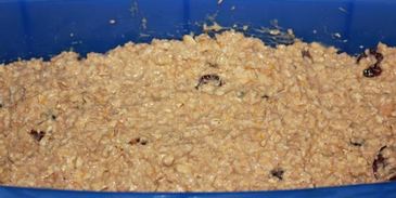 овсяный кекс с черносливом, апельсином и имбирем