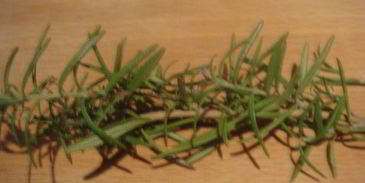 розмариновый кекс