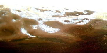 шоколадный кекс