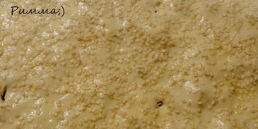 хачапури быстрый завтрак