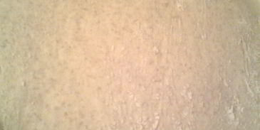 чиабатта в подарок