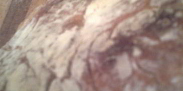 чиабатта в подарок