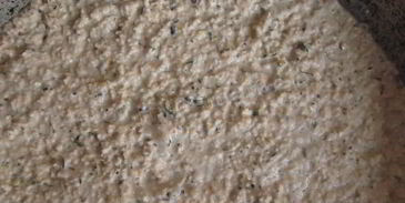 овсяные хлебцы из отрубей