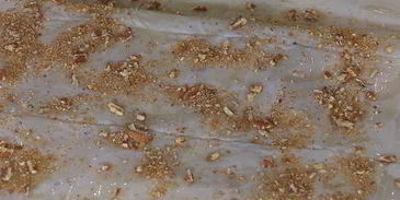 конвертики из фило с запеченными яблоками