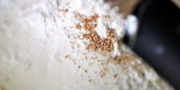 яблочные лепешки