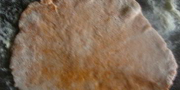 заварные томатные лепешки