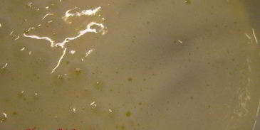 морковные маффинчики