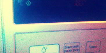 яркий манник