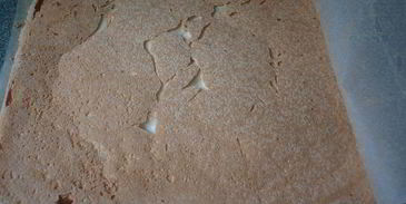 меренговый рулет