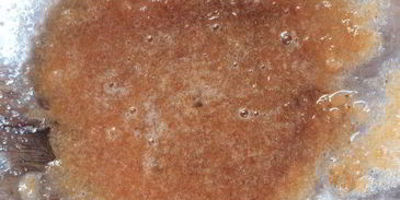 оладьи на сливках