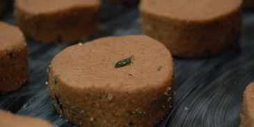 шоколадное печенье с тимьяном