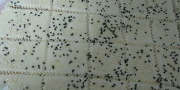 сырно-творожное печенье