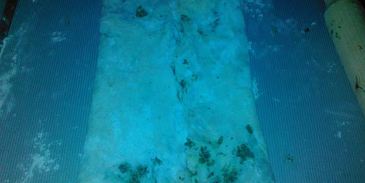 летние пирожки, слоеные зеленью