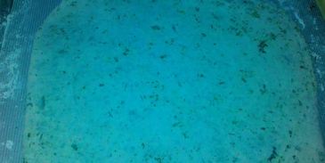 летние пирожки, слоеные зеленью