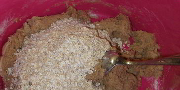 коврижки из цельнозерновой муки с овсянкой и шоколадом