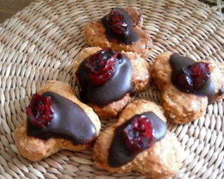 Медовые пряники с шоколадом и вяленой клюквой