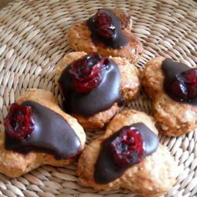 Медовые пряники с шоколадом и вяленой клюквой