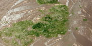 пряничная деревушка