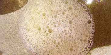 пряничный домик