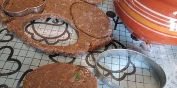 рождественский пряник катажинка