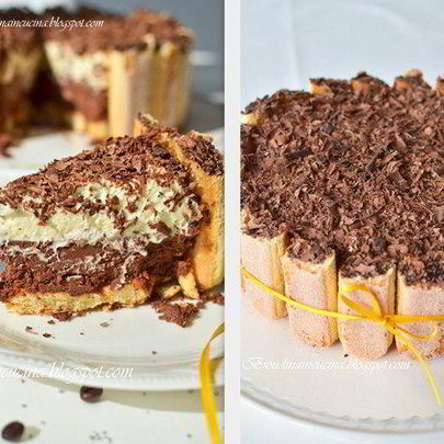 Шарлотка с шоколадно-малиновым муссом и воздушным ванильным кремом