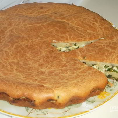 Заливная шарлотка с луком