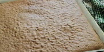 шоколадно-апельсиновый рулет