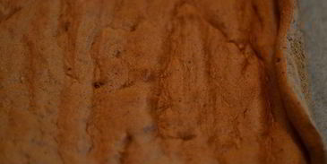 шоколадно-трюфельный рулет