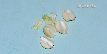 рисовый штрудель с томатно-яблочным джемом