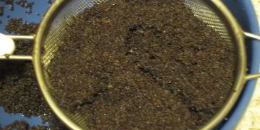 штрудель с грушами, изюмом и маком