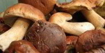 штрудель с лесными грибами и сыром