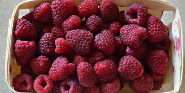 штрудель с творогом, малиной и грушей