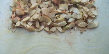 яблочный штрудель с изюмом и карамельной крошкой