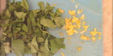 сырники с фетой, ветчиной и кинзой