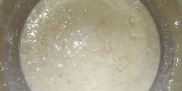 быстрое дрожжевое тесто